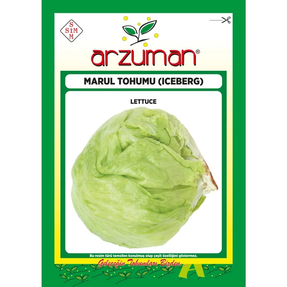 Iceberg Marul Tohumu 5 Gram ürün görseli 1