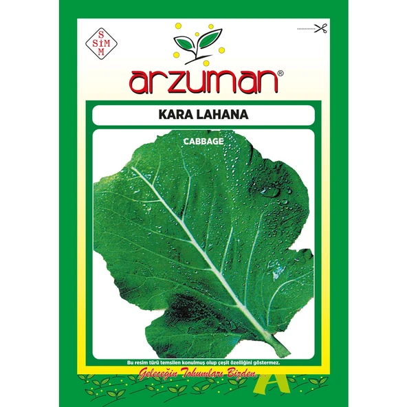 Kara (Yaprak) Lahana Tohumu 10 Gram ürün görseli 1