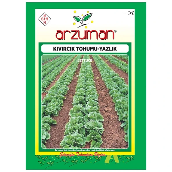 Yazlık Marul - Kıvırcık Tohumu (10 Gr) ürün görseli 1