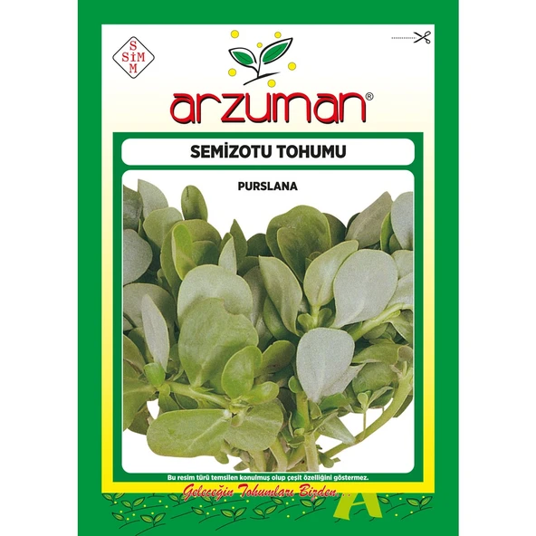 Yeşim Semizotu Tohumu 10 Gram ürün görseli 1