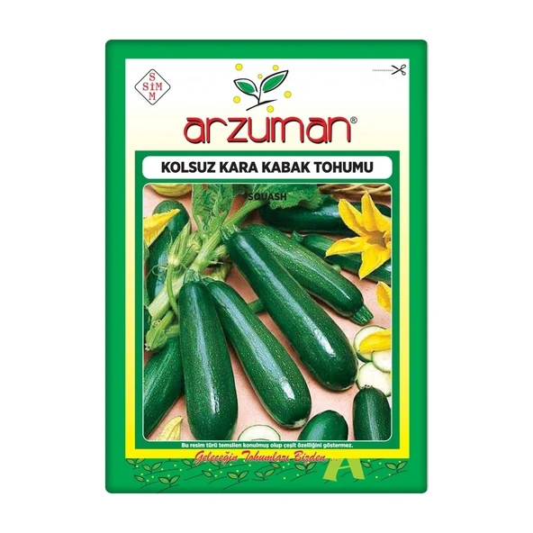 Kabak Tohumu Siyah Kabak 10 gr Kolsuz ürün görseli 1