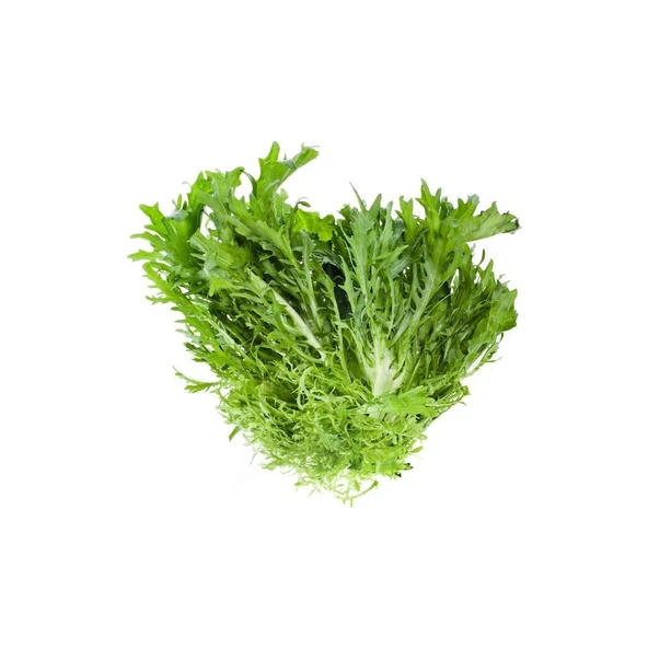 Hindiba (Güneyik) Marul 5 Gram ürün görseli 1