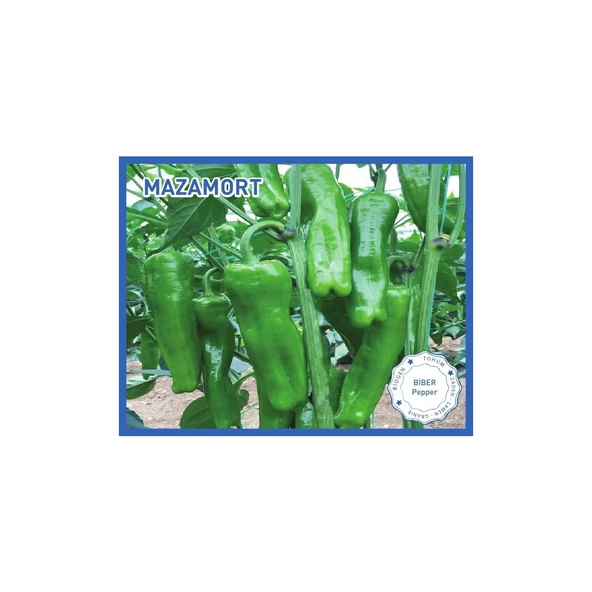 Biber Tohumu 10 gr - Resim 2