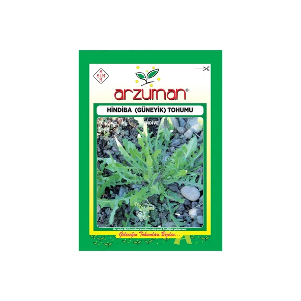 Hindiba ( Güneyik) Tohumu( 5 gr Tohum) ürün görseli 1
