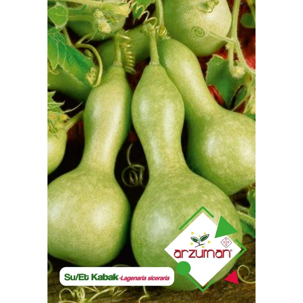 Su - Et Kabağı (Lagenaria Siceraria) Çiçek Tohumu 5 Adet ürün görseli 1