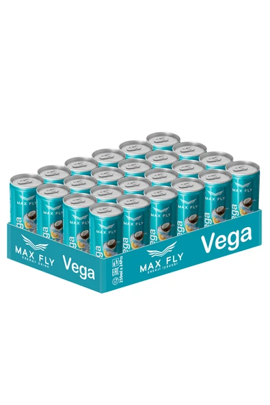 Max Fly Vega Enerji İçeceği 250 ml 24 Adet - Resim 3