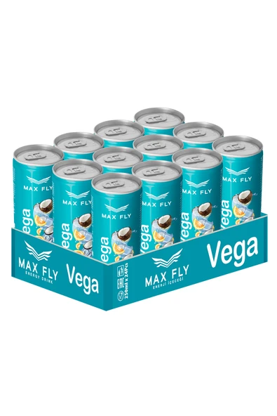 Max Fly Vega Enerji içeceği 250 ml 12 Adet - Resim 3