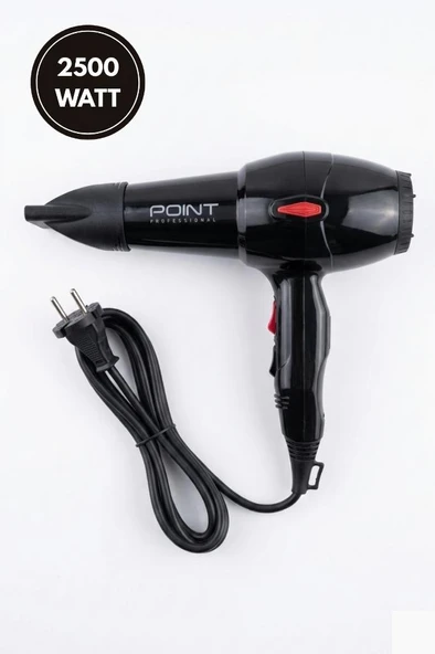 Point Blow Dryer Tam Profesyonel 2500 Watt AC Motor Fön Makinesi Siyah ürün görseli 1