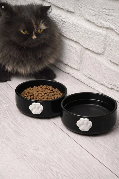 KorPet 2'li seramik Siyah Kedi köpek Mama Kabı 12 cm Siyah ürün görseli 1