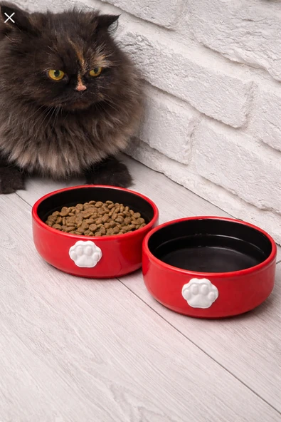 KorPet 2'li seramik Kırmızı Kedi köpek Mama Kabı 12 cm Kırmızı ürün görseli 1