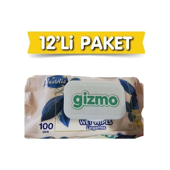 Gizmo Islak Mendil 100'LÜ x 12 ürün görseli 1