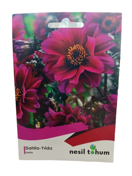 Nesil Tohum Dahlia-Yıldız Çiçeği Tohumu 30 Adet ürün görseli 1