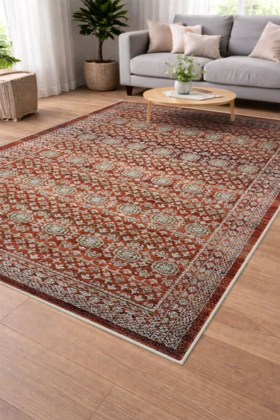 Modern Sisal Serisi Dijital Baskı Sisal Dokuma Halı SLH050 RENKLİ 120 X 180 ürün görseli 1