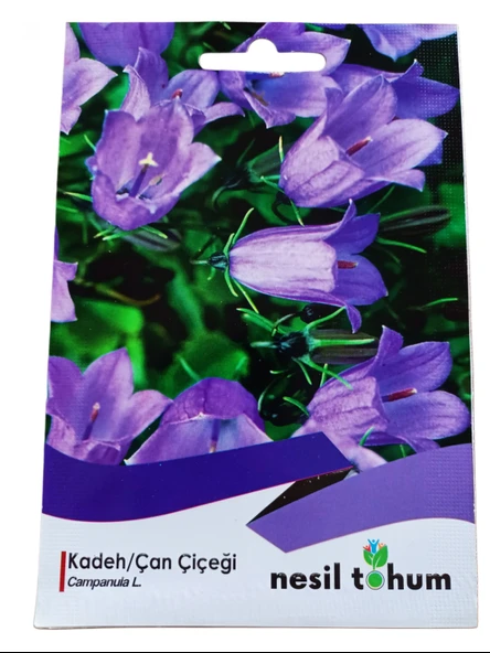 Nesil Tohum Kadeh/Çan Çiçeği Tohumu 100 Adet ürün görseli 1