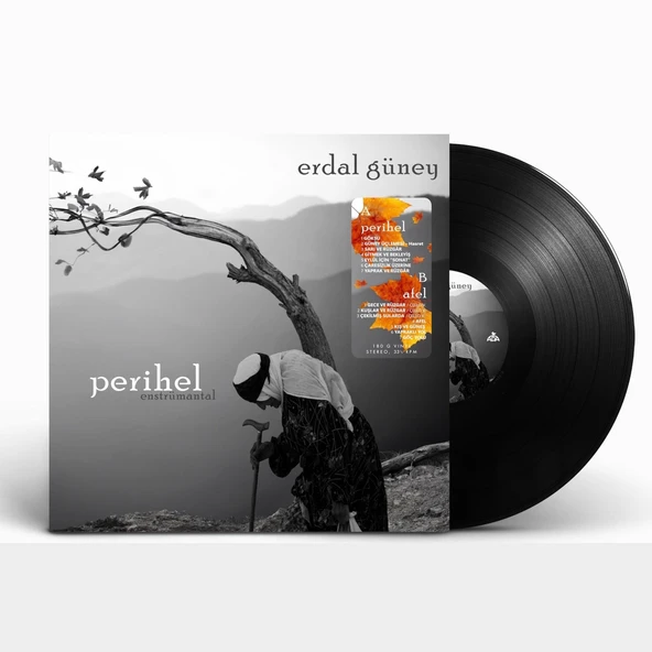 Erdal Güney Perihel-Afel (Enstrümantal) - Plak - Resim 3