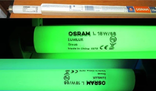 Osram L 18W/66 18 Watt G13 Duy Yeşil Renk T8 Floresan Ampul = 3 ADET ürün görseli 1