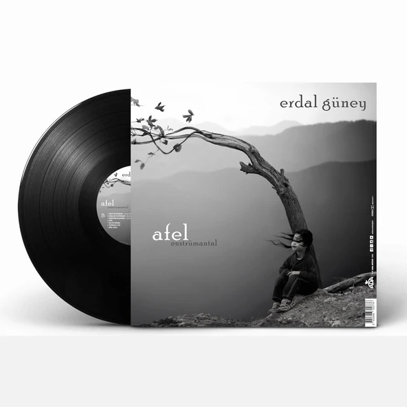 Erdal Güney Perihel-Afel (Enstrümantal) - Plak - Resim 4