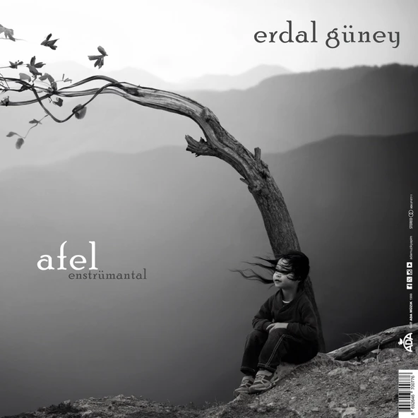Erdal Güney Perihel-Afel (Enstrümantal) - Plak - Resim 2