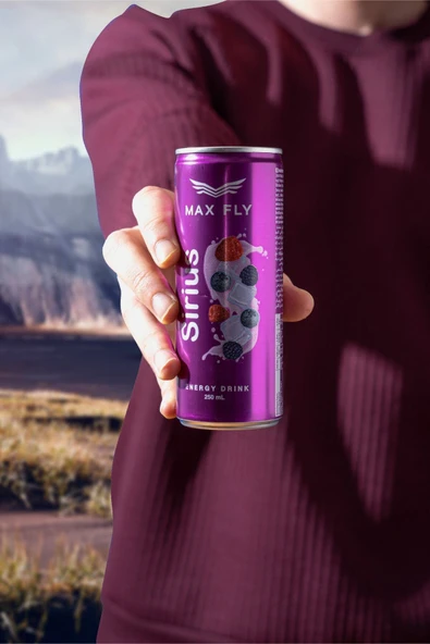 Max Fly Sirius Enerji İçeceği 250 ml 24 Adet - Resim 7