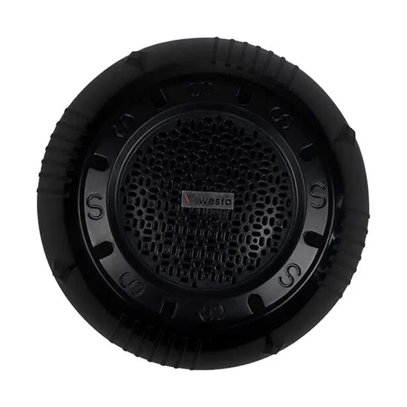 Westa Ws-1119Tb 13 Cm Sıva Üstü Siyah Tavan Hoparlör ürün görseli 1