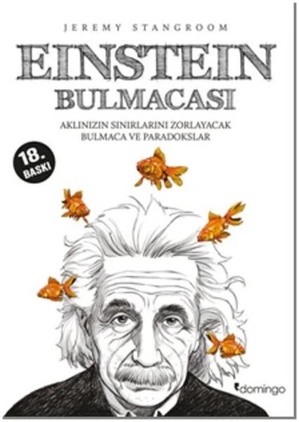 Einstein Bulmacası ürün görseli 1