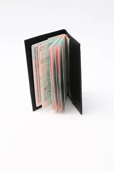 World Pasaportluk - Resim 5