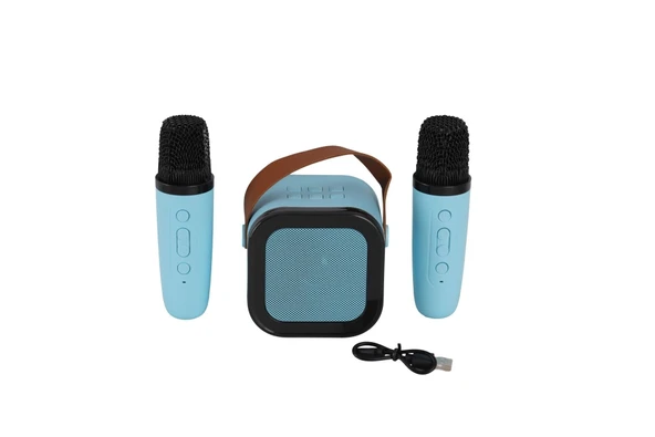 EMR-102 KUTULU 2Lİ KARAOKE MİKROFON ürün görseli 1