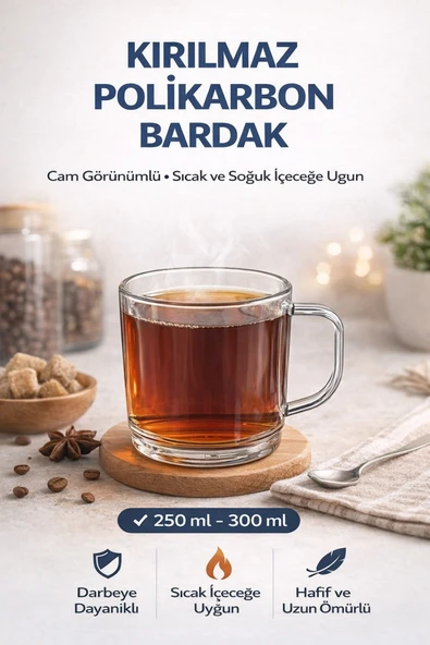 İstanbul Horeca Polikarbon Kırılmaz Kulplu Bardak 250 ML Cam Görünümlü Çay Kahve Bardağı Sıcak Soğuk Uyumlu ürün görseli 1