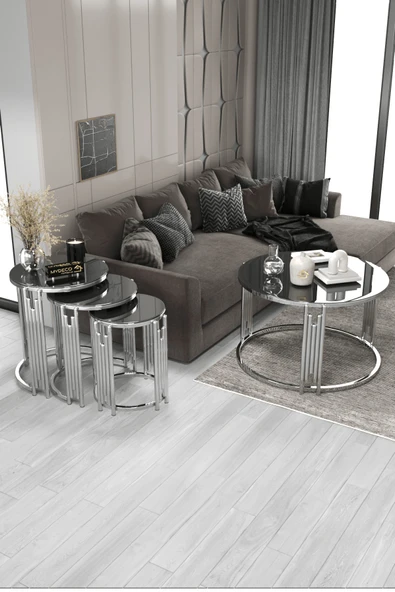 home plus mobilya Piyano Set Gümüş Füme Orta Sehpa Zigon Sehpa Takımı ürün görseli 1