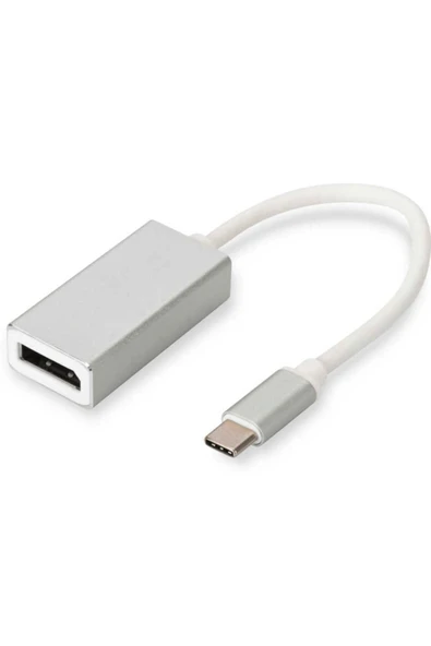 Coverzone Display Port Alüminyum Kasa Dönüştürücü Usb 3.1 Type-c ürün görseli 1