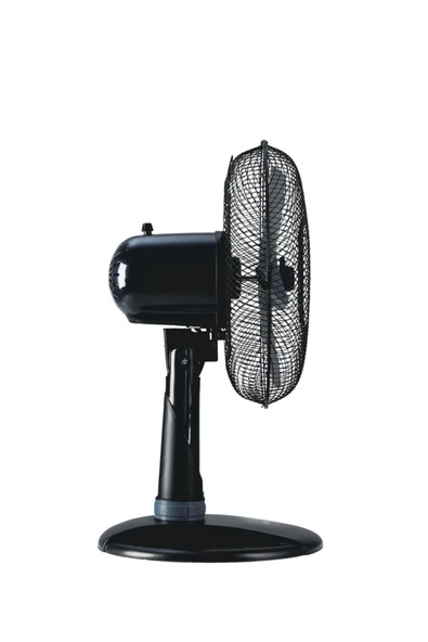 lambader Df 12 Duo 45W Masa Ve Duvar Tipi Vantilatör - Resim 2