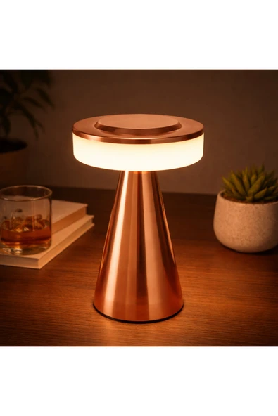 Coverzone Dekoratif Masa Lambası Type-C Şarjlı LED Gece Lambası Dokunmatik Modern | PC8235 ürün görseli 1