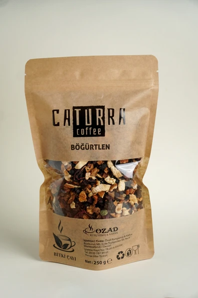 Caturra BÖĞÜRTLEN ÇAYI 250 GR ürün görseli 1