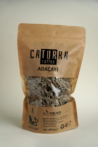 Caturra ADAÇAYI 100 GR ürün görseli 1