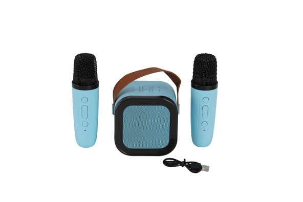 EMR-102 KUTULU 2Lİ KARAOKE MİKROFON ürün görseli 1