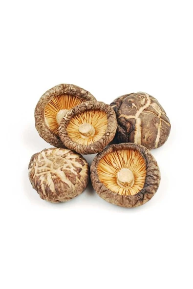 XUSHI GIDA Kurutulmuş Shitake Mantarı 100gr ürün görseli 1