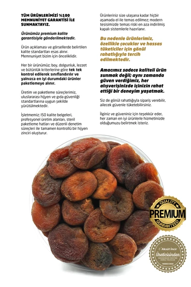Malatya Gün Kurusu Kayısı 450g - Resim 5