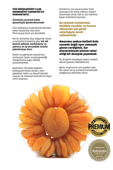 Malatya Sarı Kayısı 250g - Resim 5