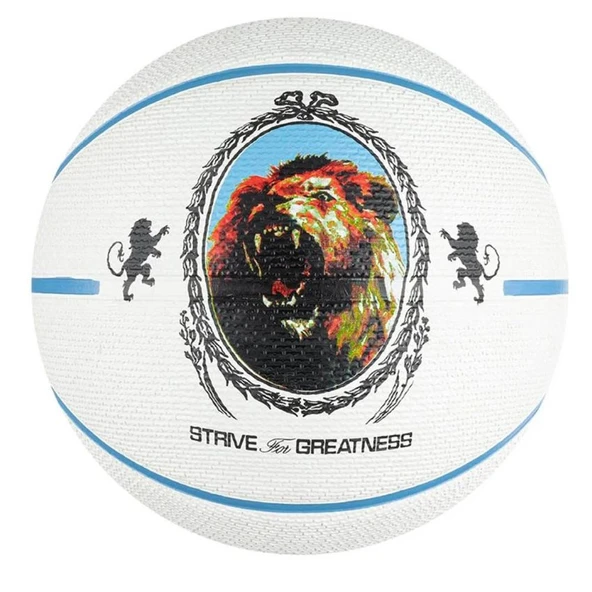 Nike Playground 2.0 8P L James Deflated Unisex Çok Renkli Basketbol Topu N.100.4372.086.07 ürün görseli 1