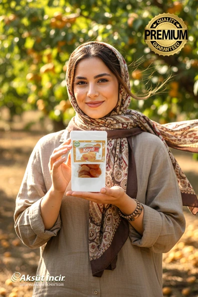 Malatya Sarı Kayısı 100g - Resim 2