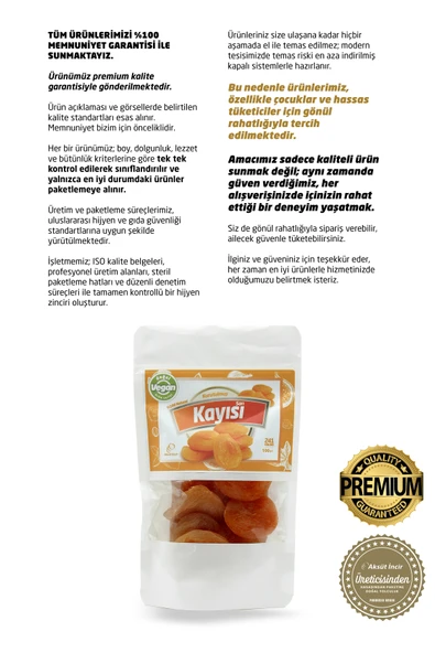 Malatya Sarı Kayısı 100g - Resim 5