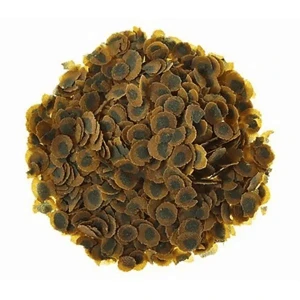 Yeni Ürün Tetra Pro Algae Açık 100gr ürün görseli 1