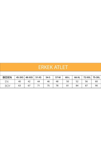 Ceylanoğlu Erkek Gri Askılı Süprem Atlet 3'lü - Resim 2
