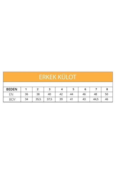 Ceylanoğlu Erkek Beyaz Süprem Slip Külot 3'lü - Resim 2