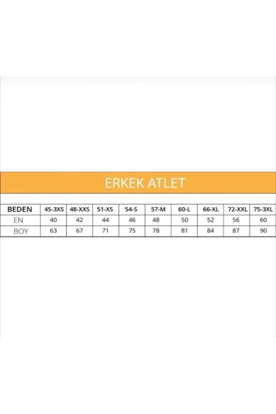 Ceylanoğlu Ribana Erkek Atleti 3'lü 023 - Resim 3