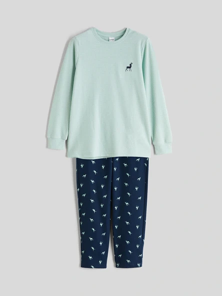 LCW Kids Yeşil Baskılı Waffle Erkek Çocuk Pijama Takımı ürün görseli 1