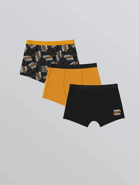LCW Kids Gri Baskılı Erkek Çocuk Boxer 3'lü ürün görseli 1