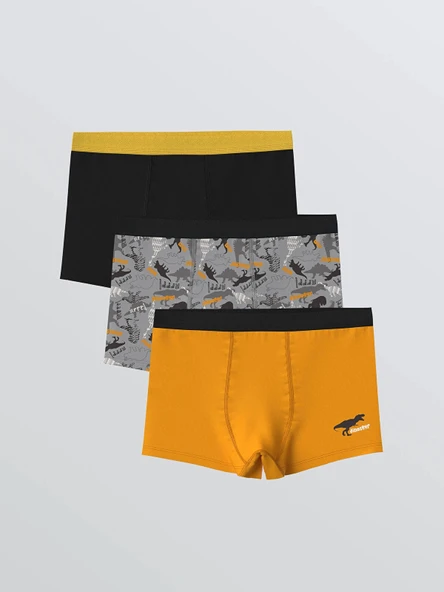 LCW Kids Gri Baskılı Erkek Çocuk Boxer 3'lü ürün görseli 1