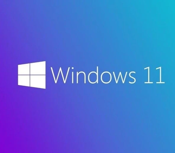 MS WINDOWS 11 PRO 64 BIT TURKCE OEM FQC-10556 ürün görseli 1