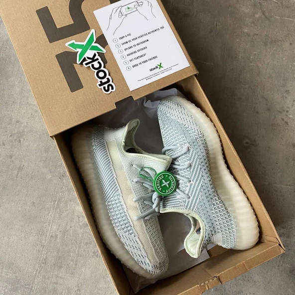 PTTAVM: Adidas Yeezy 350 V2 